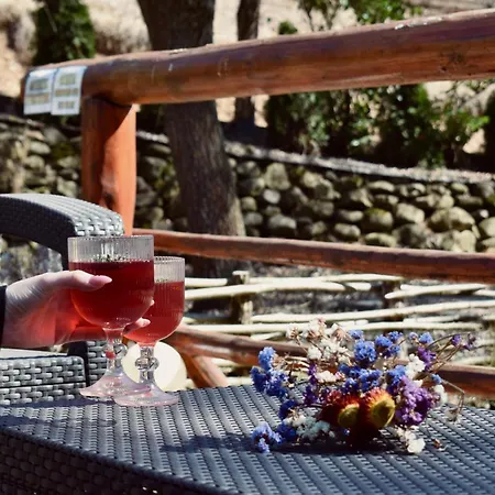 Lodge Casa De Vacanta Trei Zane Sovata