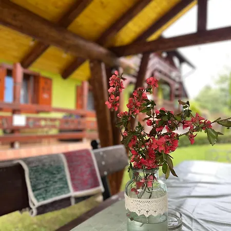 Casa De Vacanta Trei Zane